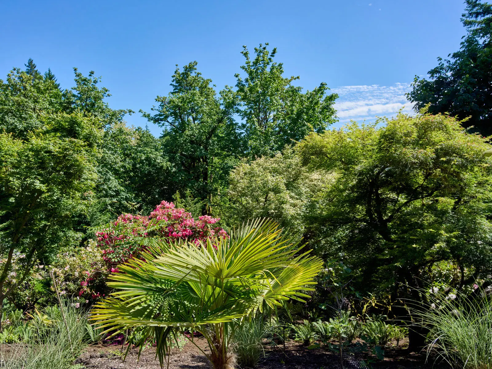 4310 SW Warrens Way, 054