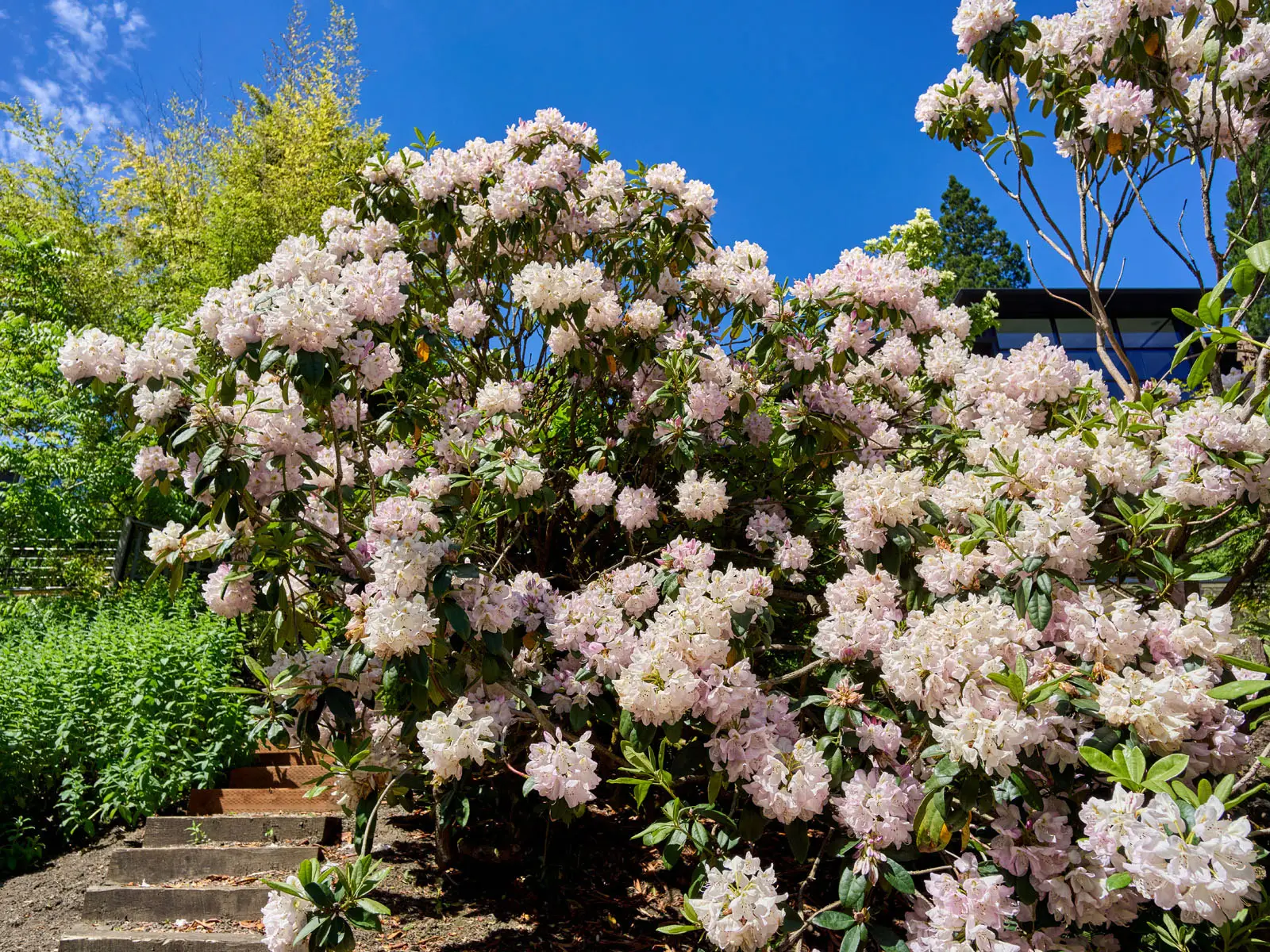 4310 SW Warrens Way, 057