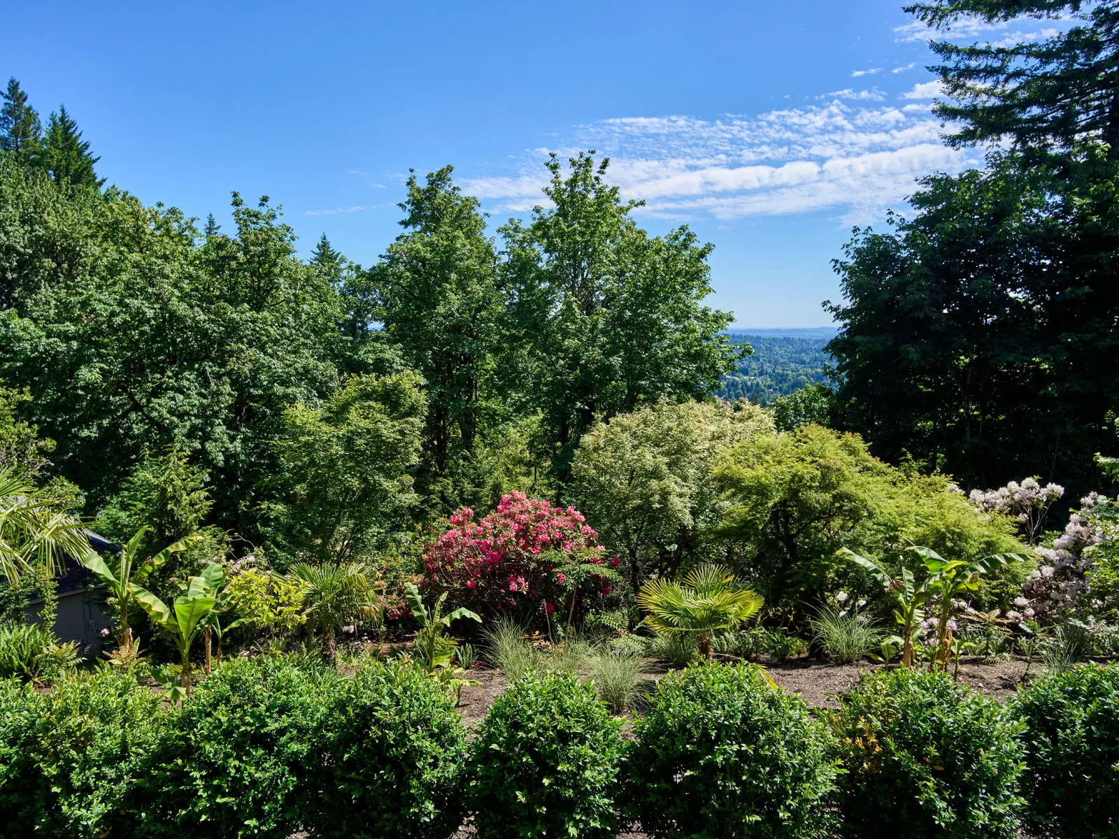 4310 SW Warrens Way, 061